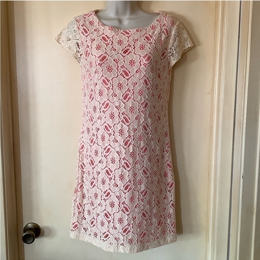 Elegant Lace Dress in Cream and Pink